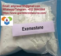 Exemestane Aromasin 107868-30-4 Muscle Gaining USP Standard 99% Purity