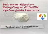 Powdr proffwydol testosteron gyda CAS ansawdd uchel 57-85-2