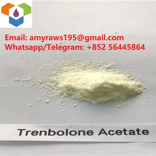 Pam Mae Trenbolone Acetate yn Boblogaidd?