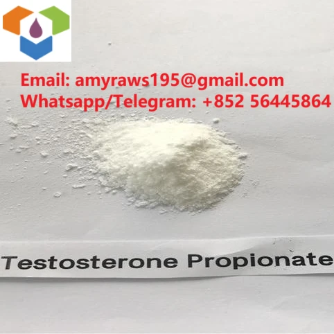 Sut Mae Testosterone Phenylpropionate yn Gweithio