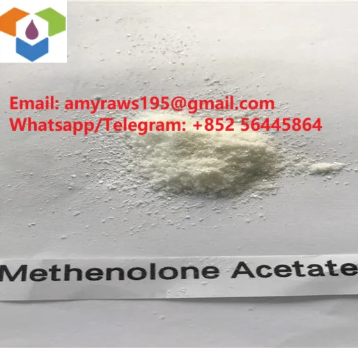 Powdwr Raws Methenolone Asetad