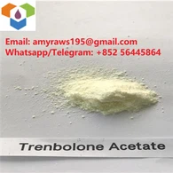 Powdr steroidau Trenbolone asetyn